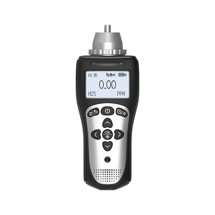 MS104K-L Portable Single Gas Detector: En pålitlig partner för gasdetektering
