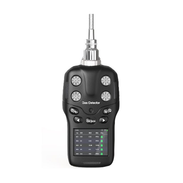 Bärbar 4-i-1 gasdetektor
